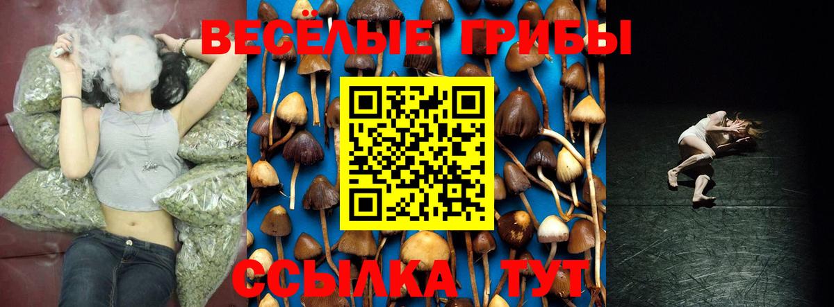 дарнет шоп  Галлюциногенные грибы Cubensis  Вход с VPN  Ноябрьск 